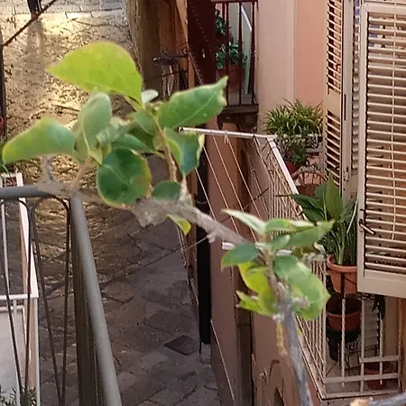 בית הארחה Vento Di Terra