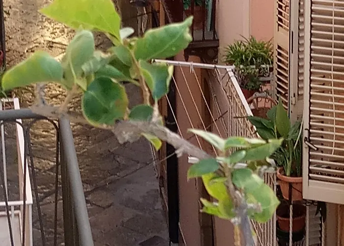 招待所 Vento Di Terra