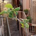 招待所 Vento Di Terra